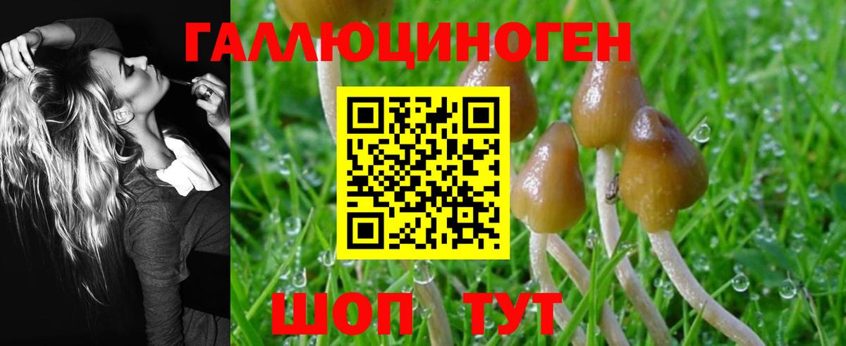 Псилоцибиновые грибы MAGIC MUSHROOMS  Вход с VPN  Орёл 